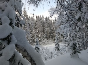 Ночь в зимовье