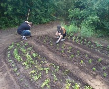 В КМОЦе приучают детей к труду и прививают им полезные навыки