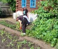 В КМОЦе приучают детей к труду и прививают им полезные навыки