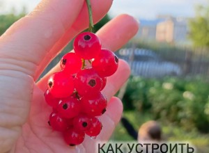 4 лайфхака мини-отдыха, если отпуск только снится 