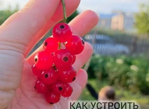 4 лайфхака мини-отдыха, если отпуск только снится 