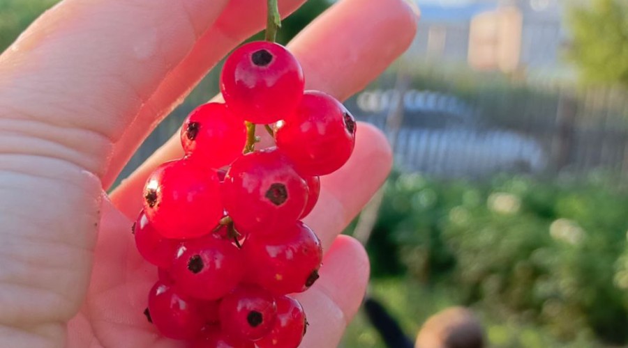 4 лайфхака мини-отдыха, если отпуск только снится 