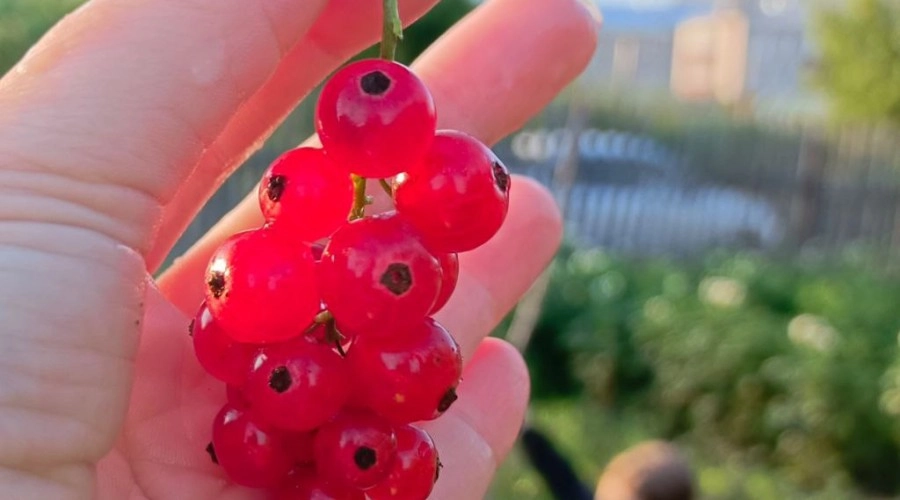 4 лайфхака мини-отдыха, если отпуск только снится 