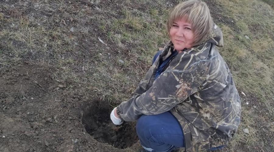 Благодаря поддержке лесного хозяйства, на территории города высажены саженцы сосен