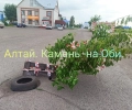 Арт-объект или предупреждение?