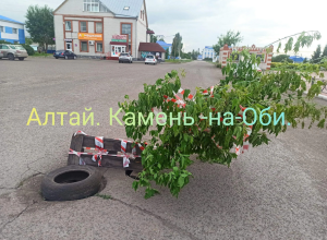 Арт-объект или предупреждение?