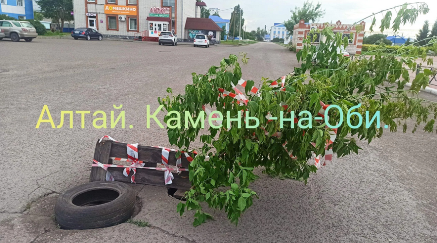 Арт-объект или предупреждение?