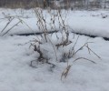 Вчера в городе Камень-на-Оби было летнее тепло, +16 градусов и ясная погода дарили жителям города хорошее настроение.