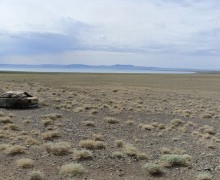 Планета Монголия. Часть 3 — Белые скалы