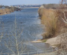 Фотографии майской природы: прогулка вдоль канала и реки
