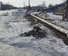 Мусор с теплотрас ул. Достоевского 80,82,84