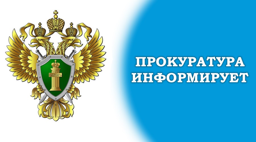 Установлено, что летом 2024 года в г.Барнауле Алтайского края осужденная договорилась с неустановленным лицом стать фиктивным руководителем фирмы.