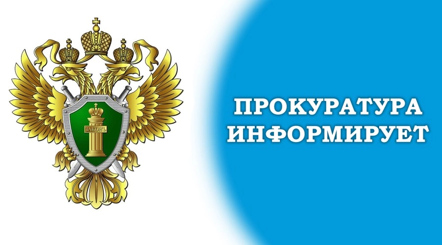 Установлено, что летом 2024 года в г.Барнауле Алтайского края осужденная договорилась с неустановленным лицом стать фиктивным руководителем фирмы.