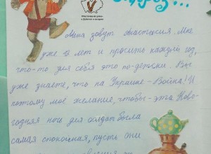 Девочка из Алтайского края попросила у Деда Мороза необычный подарок.