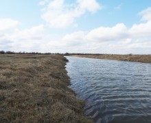 Фотографии майской природы: прогулка вдоль канала и реки