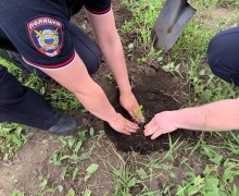 В Камне-на-Оби сотрудники полиции совместно с Общественным советом приняли участие во Всероссийской акции «Сад Памяти»