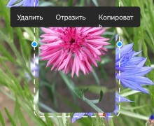 Истории в Телеграм: плюсы и минусы 