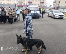 Служить Родине и закону – не просто работа, а призвание!