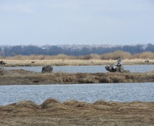 Фотографии майской природы: прогулка вдоль канала и реки