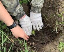 В Камне-на-Оби сотрудники полиции совместно с Общественным советом приняли участие во Всероссийской акции «Сад Памяти»