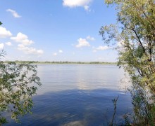 Каменские джиперы облюбовали метеоритное озеро