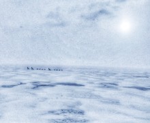 Пересадка в Иркутске (день 1)