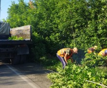 Благодарность Администрации Каменского района и Центру управления регионом за оперативное улучшение безопасности на перекрестке Томская - Мамонтова