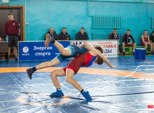 В спортивном зале Каменского педагогического колледжа прошёл XII турнир по греко-римской борьбе, посвящённый «Дню защитника Отечества».