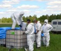 Почему жителям Алтайского края запретят ходить в лес? 