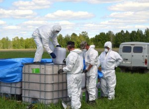 Почему жителям Алтайского края запретят ходить в лес? 