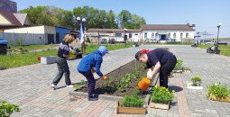 Студенты медколледжа высадили цветы в клумбы