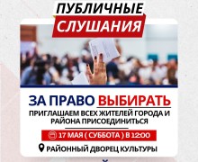 Публичные слушания О прямых выборах главы района