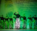 В Каменском районном дворце культуры прошёл благотворительный концерт в поддержку участников СВО «Служить России!».